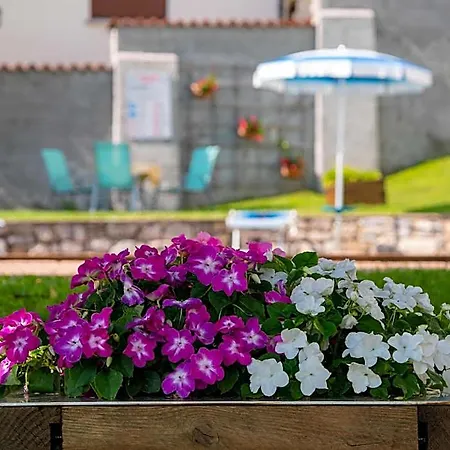 Hotell Celeste View 4*
